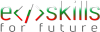 eSkills For Future logo